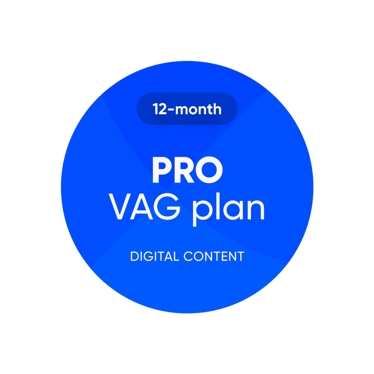 OBDeleven | Pro VAG Plan | Szoftverlicenc